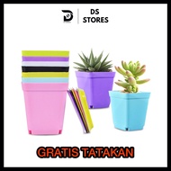 Pot Plastik Mini Warna Warni Gratis Tatakan Dekorasi Unik Serbaguna Modern / Pot Bunga Plastik Mini Warna Warni / Pot Kaktus Tanaman Mini Serbaguna Unik Modern