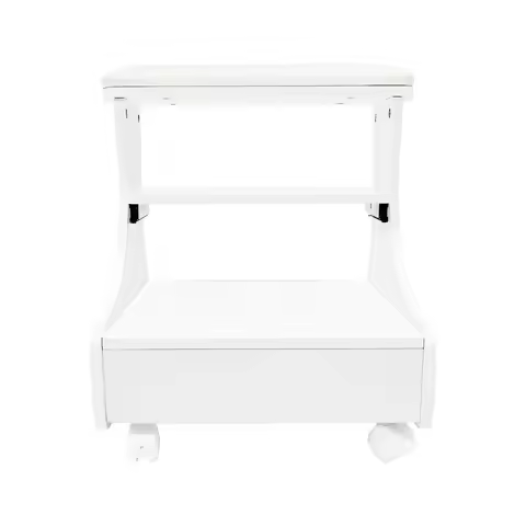 Foot Bath Stool 4-Wheel Mobile Pedicure Station Foot Rest Pedicure Manicure Funiture 20kg Capacity w