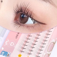 Single Cluster False Eyelashes Pack Light Soft 3D Effect Well Bedded Lashes for Daily Party Official