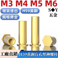 ((M3-M6) H59 Brass Material Blind Hole Press Rivet Plum Hexagon Press Rivet Nut Plum M3M4M5M6 Bottom