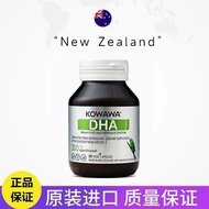 [Tisman Cracked Pot Algae Oil] High Purity DHA Algae Oil Capsules Plant Extract Memory Pure Algae Oi