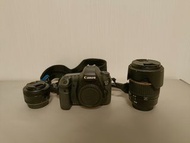 Canon 6D + Tamron AF 28-300mm + Canon EF LENS 50mm 1:1.8 STM