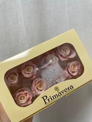 Primavera 保鮮玫瑰花