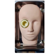 Ophthalmic Surgery Practice Model Animal Eye Pig Eye Practice Ophthalmic Head Model