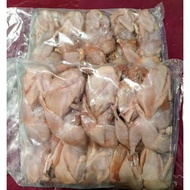 READY STOCK BURUNG PUYUH FROZEN