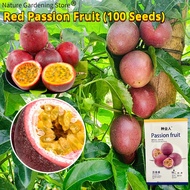 เมล็ดพันธุ์ เสาวรสสีแดง เมล็ดเสาวรสหวานสีม่วง บรรจุ 100 เมล็ด Red Passion Fruit Seeds for Planting เมล็ดเสาวรส F1 เมล็ดพันธุ์แท้ OP เมล็ดผลไม้ ผลไม้อินทรีย์ Climbing Plants ต้นไม้ผลกินได้ ต้นไม้กินผล เมล็ดพันธุ์ผลไม้ พันธุ์ไม้ผล บอนไซ บอนสี ปลูกได้ตลอดปี