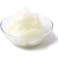 READY STOCK PETROLEUM JELLY/ CLEAR CONTAINER PETROLEUM JELLY -500g