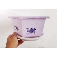 White style pot with saucer