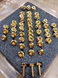 Baut Body Probolt Motor Honda Yamaha Pro Bolt Baut stainless Gold 2tone silver Heng besi staniless t