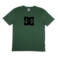 DC Shoes Men DC Star T-shirt Mountain View UDYZT04103