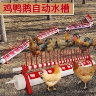 3 Ayam Pembiakan Penyiram Khas Ayam Dulang Penyiraman Air Peminum Ayam Penyumpan Automatik Dulang Ai