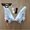 OFF-WHITE x Force 1 Low OW AF1 Air Force AO4606-100