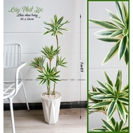 Cây giả Cây Phát Lộc cao cấp trang trí nhà cửa cafe spa homestay