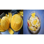 Buah Bambangan segar