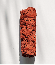 Xô Thơm Huyết Rồng (Dragon Blood Sage)_BẬC THẦY THANH TẨY_SAGE GARDEN