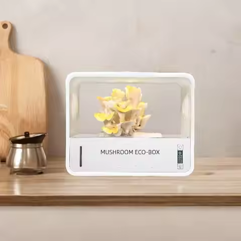 Still Air Box Mushroom Fruiting Chamber for Indoor Home Mycology Supplies