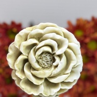 草本牡丹(一) 藝術香氛手工皂 採英國Jo Malone 英國梨與小蒼蘭香