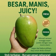 mangga kiojay manis mentah