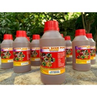 VITAMIN SIAM POWER / BAJA SIAM / FORMULA BY THAILAND 100% ORGANIK 500ml