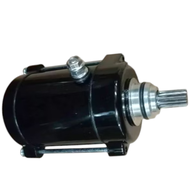 rusi ssx200/rusi gamma 200 starter motor (11T)