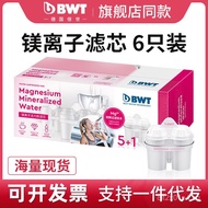 German Best BWT Water Purifier Filter Cartridge Household Filter Kettle Kitchen Water Purifier Magne