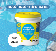 Weber color HR เวเบอร์ คัลเลอร์ เอช อาร์ | กาวยาแนวสระว่ายน้ำ สปา และซาวน่า | ขนาด 18.5 กก. | สีเทา 
