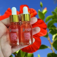 SERUM TOMATO HAJAR BY HAJAR ORGANIK BEAUTY