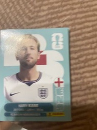 Harry Kane 2022 World Cup Panini 卡