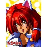 Guardian Sword Gaiden: Endless Fate dosbox Integrated PC Computer Game Card Computer Game Card A328 