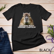 Idk How Much Longer I Can Slay Capybara Sarcastic Dank Meme T-Shirt
