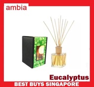 Aromatherapy Reed Diffuser Natural Scented Essential Oil 200ML (Eucalyptus) 