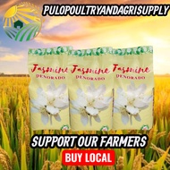 bigas rice Price & Voucher Jun 2026 | BigGo Philippines