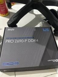 PRO Z690-P DDR4