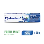CIPTADENT JUMBO 225+25 GRAM / ODOL