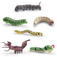 6PCS Realistic Insect Larvae Figures Set, Educational Bug Models Including Hawk Moth, Swallowtail, B