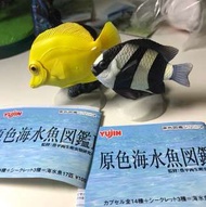 Yujin 原色海水魚 圖鑑 扭蛋 合售