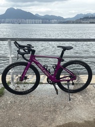 Raleigh 碳纖維公路車