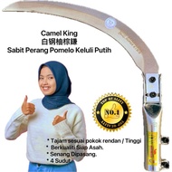 CAMEL KING 白钢柚棕鎌 SABIT PERANG POMELO KELULI PUTIH