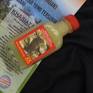 MINYAK TRADISI ( MLTGA ) with flyers /