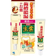 小林製藥 生葉  牙痛・牙齦消腫消炎治療軟膏 20g【第3類醫藥品】