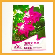 A146 Morning Glory Flower Seeds Biji Benih Pokok Bunga Seri Pagi