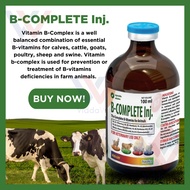 brands vitamin b complex complete vitamin v complex b1 b6 b12 vitamin b complex b complex with liver
