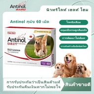 หมดอายุ 08/2025 Antinol DOG (1 กล่อง 60 caps) สุนัข อาหารเสริมบำรุงข้อ ลดอักเสบ จัดส่งจากประเทศไทย จัดส่งที่รวดเร็ว