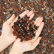 5.7lb Mix Horticultural Lava Rock Pebbles-Decorative Landscaping Gritty Rocks,Pumice Potting Soil Am