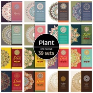 Plant Design Template Bundle Pack / Flower / Pattern / Ornamentation / Retro / Decoration / Illustra
