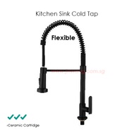 Kitchen Sink Flexible Cold Tap Black JW-K8220BB PUB APPROVAL rubinetterie Pozzi