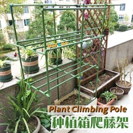 YYNING Plant Climbing Pole Pillar Pole Grape Rack Lattice Flower Bracket Support Pole Outdoor Plant Support Stick Connector Fixed Rod Climbing Pole Joint Accessories