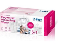 [外國直送] BWT 濾芯 6個/盒