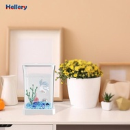 [Hellery] Betta Fish Tank Amphibian Feeding Box Clear View Mini Goldfish Tank Multiuse for Living Ro