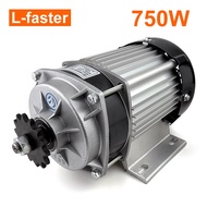 2.56N.m torque 2800rpm 48V 60V 750W Electric 3 wheel bike brushless gear DC motor with throttle hand
